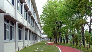 校舎と校庭に続く道