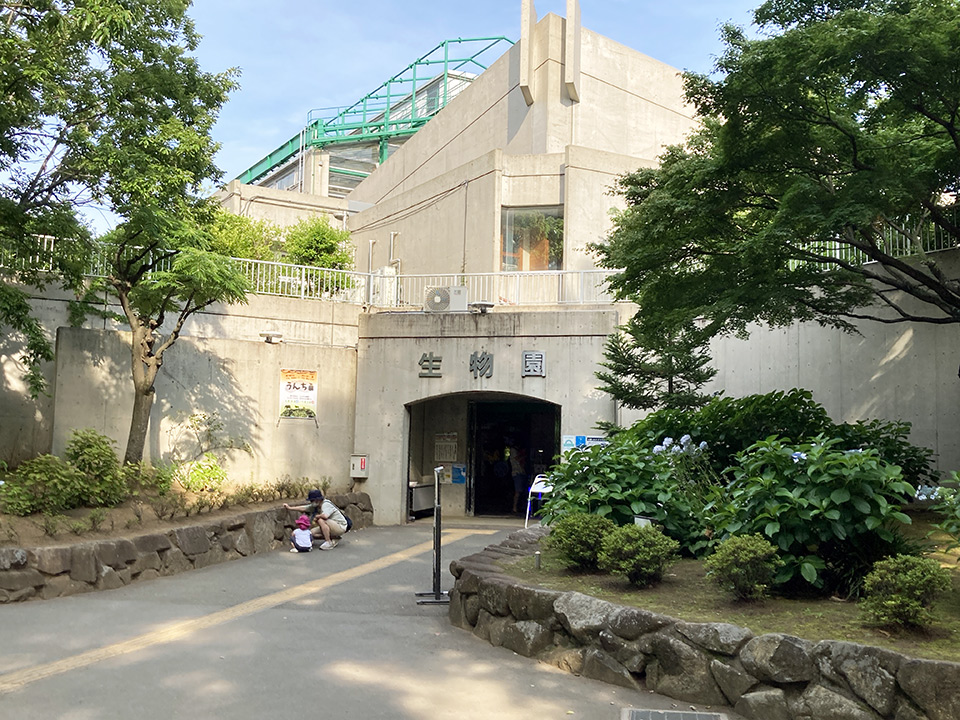 元淵江公園内にある足立区生物園（リーズナブルで意外とハマる）